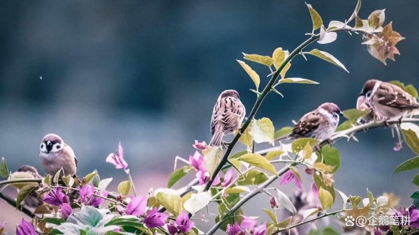 云开体育人人皆说新动力是风口-Kaiyun(中国大陆)控股有限公司 - 官方网站/登录入口