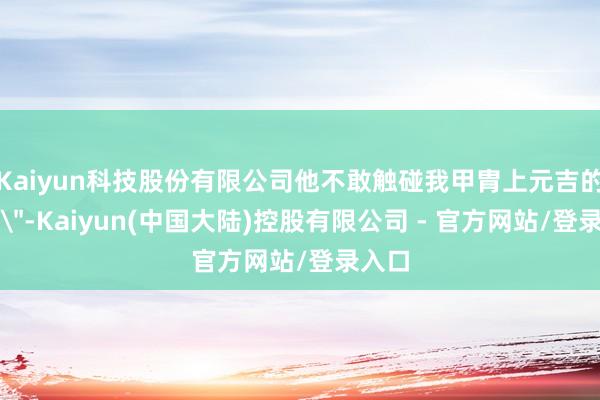 Kaiyun科技股份有限公司他不敢触碰我甲胄上元吉的掌印
