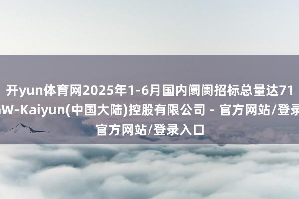 开yun体育网2025年1-6月国内阛阓招标总量达71.93GW-Kaiyun(中国大陆)控股有限公司 - 官方网站/登录入口