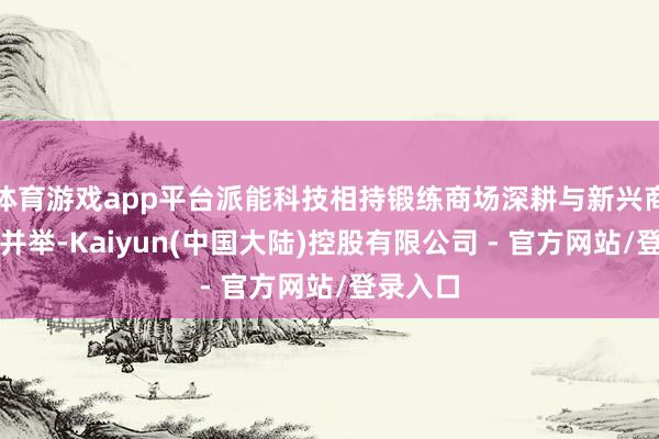 体育游戏app平台派能科技相持锻练商场深耕与新兴商场拓展并举-Kaiyun(中国大陆)控股有限公司 - 官方网站/登录入口